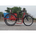 Battery Operated Handicapped Tricycle - Cure Clouds -null